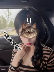 "想要别的哥哥插我，要鸡巴大的哥哥"主页有推