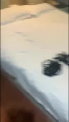 嘴便器 黑丝女大学生