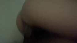 全自动rbq