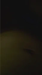 那一夜你没有反抗