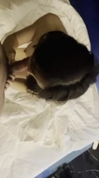 美女幼教 操翻