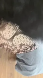 175骚母狗秦国薇插着尾巴被后入