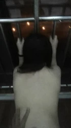 开房后入大学生女朋友