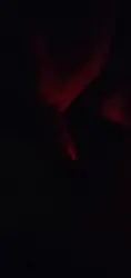 口的很卖命