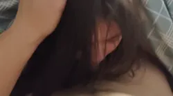骚货母狗在被子里舔jb