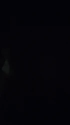 18jk小母狗私影口交