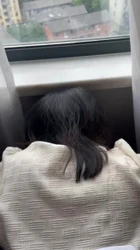 穿肉丝的骚货喜欢看评论侮辱她 下周让贱货看评论骂的最狠的免费私完整版
