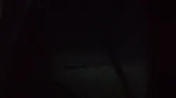 看看想你家媳妇的黑逼不