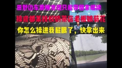 [付费]  操成都某技校奶茶店老板娘菊花，田野边车震被发现，只能带回家继续
