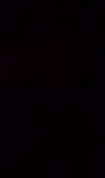 疫情之后的放纵