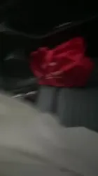 车震口交小少妇