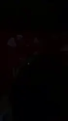年前在家后入娇妻