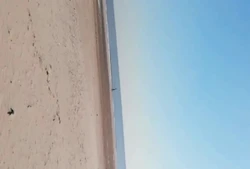 露出高清世界精品