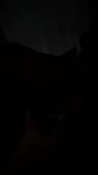 清明假期通化有没有真实夫妻？