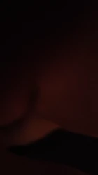 后入爆艹肥臀母狗