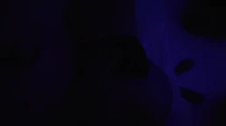 珠海桃臀
