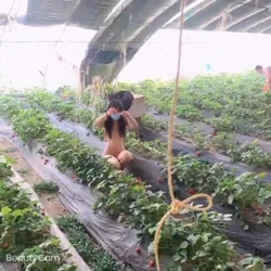 露脸口交 长舌   出视频