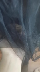 昨晚乐陵也震了