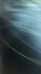 背着男友出来车上吃