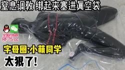不看后悔！窒息调教把母狗捆绑起来塞进真空袋子【约炮群看下边】