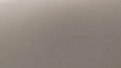日常舔逼