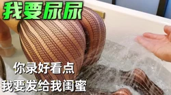 [付费]  我真的要尿啦
