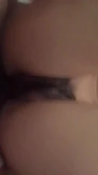 可爱邻居后续