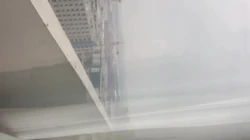 女大学生窗���自慰