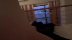 （原拍）后入操巨乳小母狗