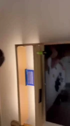 人妻觉得不够爽