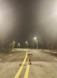 爱心臀的后入 长亭外古道边被人撞见
