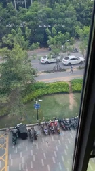 看着厦门北站搞