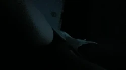 小母狗开始发骚