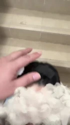 认证楼梯间口交微露脸