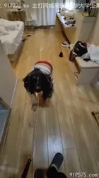 牵一条宝妈人妻母狗