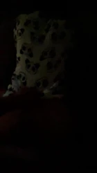 青岛00年小熊猫