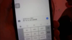 原创老家的嫂子来城里找我们玩 申请达人