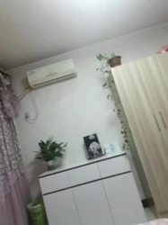 广州熟女口爆