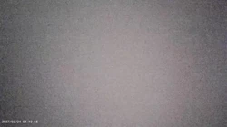这叫床声真受不了
