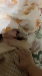 沈阳周边可约