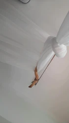 与前女友的欢愉时刻3