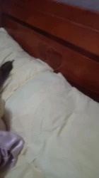 休息在家艹骚妻