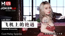 MDUS系列.LAA-0027.飞机上的艳遇.麻豆传媒映画