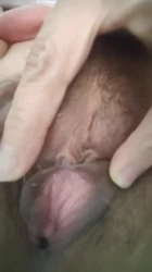 sjz熟妇，超级骚