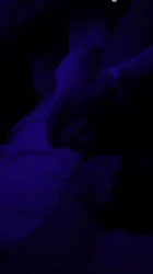 需要多少根肉棒才能满足骚女友