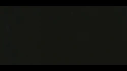 …………