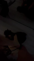 调教可爱的富家女