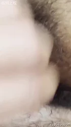 操老婆的逼