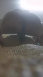 小母狗太耐操了，站起来打桩都不叫一声