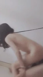 镜中母狗